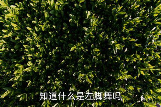 知道什么是左脚舞吗