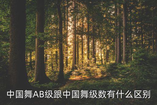 中国舞AB级跟中国舞级数有什么区别