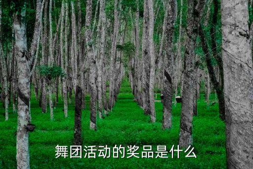 舞团活动的奖品是什么
