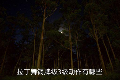 拉丁舞铜牌级3级动作有哪些