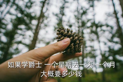 如果学爵士 一个星期去一天 一个月大概要多少钱