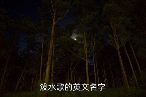 泼水歌的英文名字