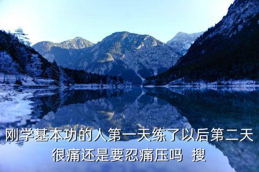 刚学基本功的人第一天练了以后第二天很痛还是要忍痛压吗  搜