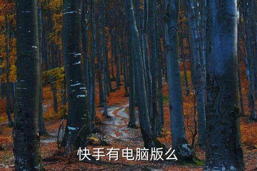 快手网页版网站登录，快手有电脑版么