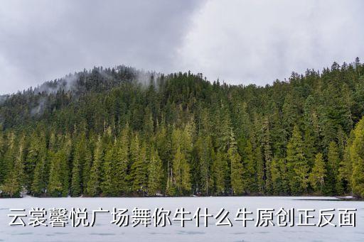 云裳馨悦广场舞你牛什么牛原创正反面