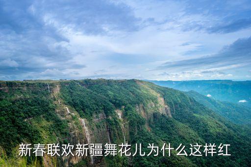 新春联欢新疆舞花儿为什么这样红