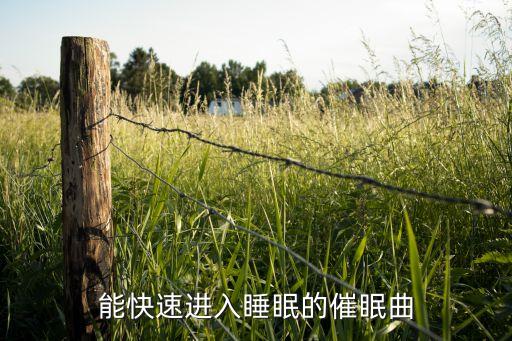 能快速进入睡眠的催眠曲