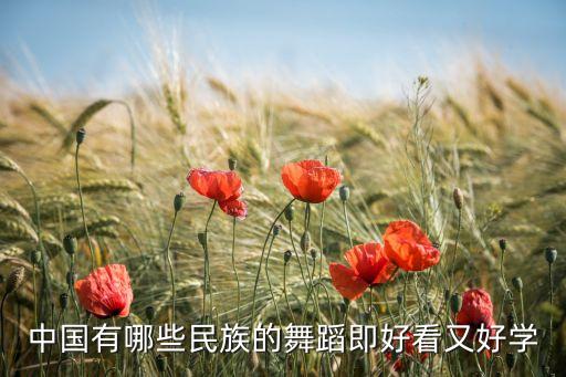 有什么舞蹈好学，中国有哪些民族的舞蹈即好看又好学
