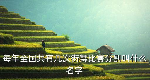 每年全国共有几次街舞比赛分别叫什么名字