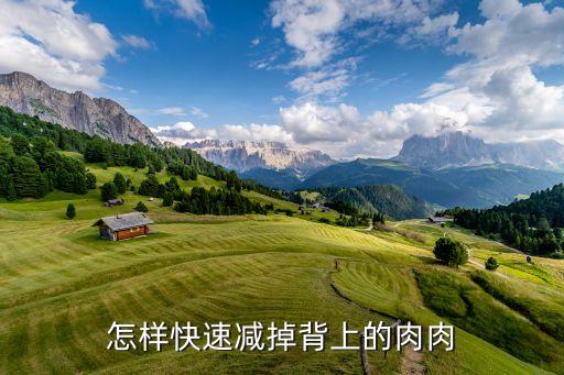 怎样快速减掉背上的肉肉