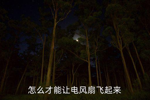 怎么飞扇子，我的世界电飞扇怎么做