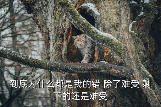 到底为什么都是我的错 除了难受 剩下的还是难受