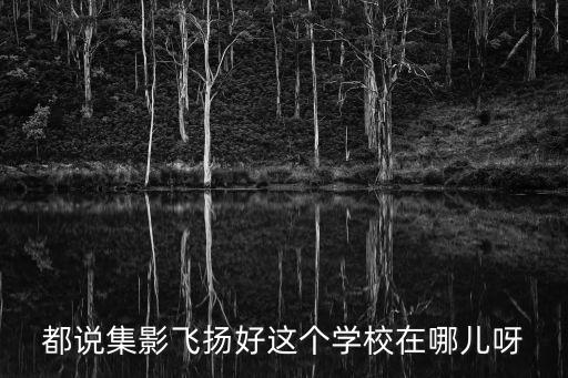 郑州飞扬艺术培训学校，都说集影飞扬好这个学校在哪儿呀