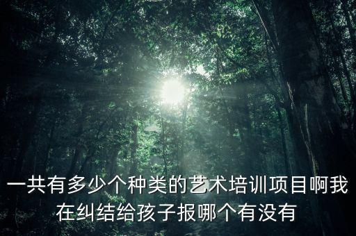 一共有多少个种类的艺术培训项目啊我在纠结给孩子报哪个有没有