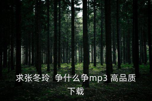 求张冬玲  争什么争mp3 高品质下载