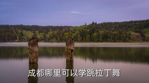 成都去哪里学舞蹈，成都哪里有学街舞的