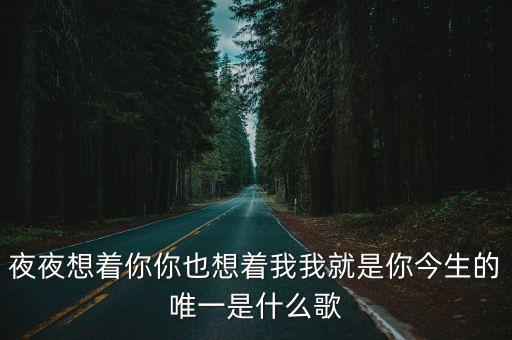 夜夜想着你你也想着我我就是你今生的唯一是什么歌