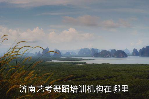 艺考咨询舞蹈，济南艺考舞蹈培训机构在哪里
