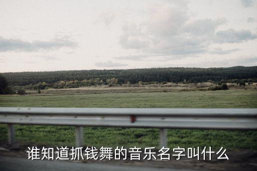 抓钱舞舞蹈视频标准版，抓钱舞的音乐