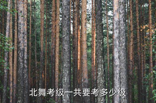 北舞七级有什么用，北京舞蹈学院考级