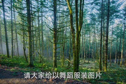 芭蕾舞老师穿什么衣服图片，跳芭蕾舞要穿哪些衣服