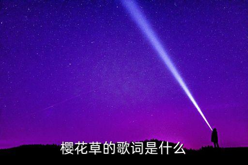 樱花草的歌词是什么