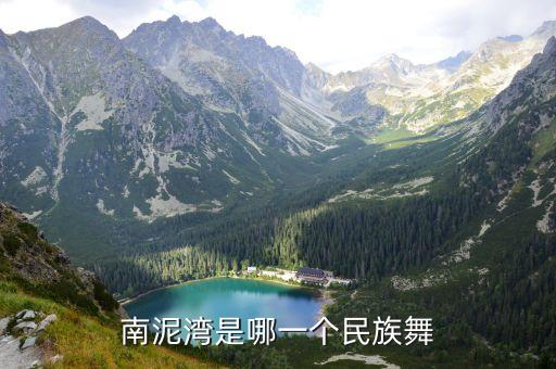 南泥湾是哪一个民族舞