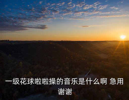 一级花球啦啦操的音乐是什么啊 急用 谢谢
