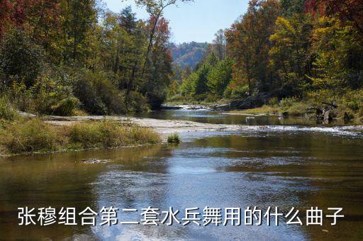 张穆组合第二套水兵舞用的什么曲子