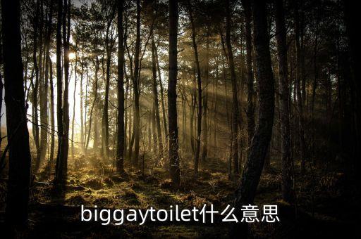 biggaytoilet什么意思