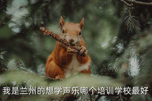 兰州音乐艺考培训机构排名，我是兰州的想学声乐哪个培训学校最好