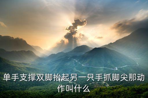 单手支撑双脚抬起另一只手抓脚尖那动作叫什么
