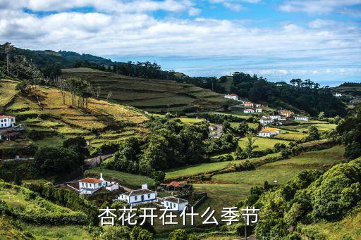 杏花开在什么季节