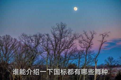 谁能介绍一下国标都有哪些舞种