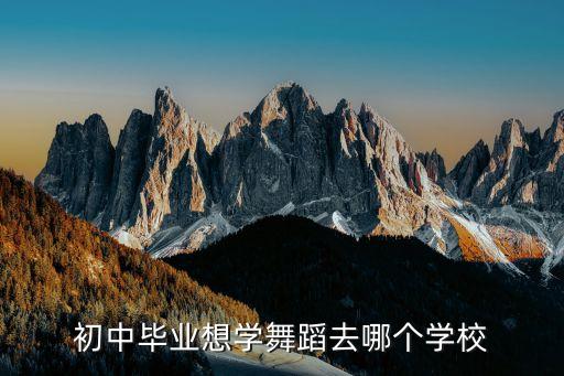 初中毕业想学舞蹈去哪个学校