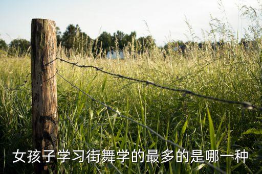什么舞种孩子学得最多，街舞什么舞种学的人多