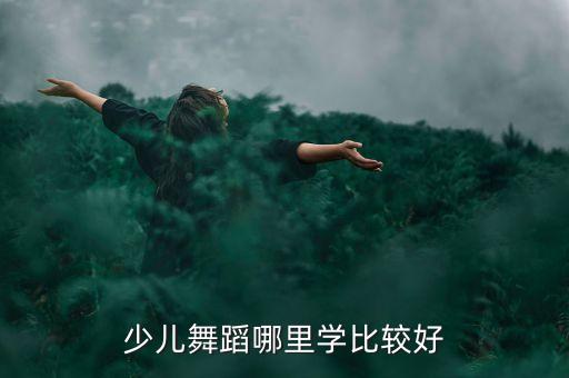 少儿舞蹈哪里学比较好