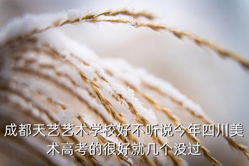 天美艺术培训学校，成都天艺艺术学校好不听说今年四川美术高考的很好就几个没过