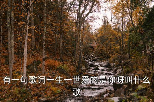 歌词一生一世好好爱你叫什么歌，我会用一生一世好好爱你这个是什么歌
