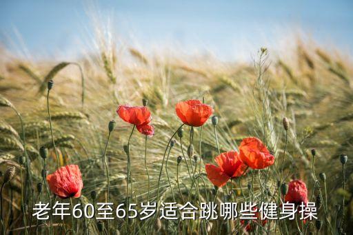 健身舞蹈广场舞 中老年，老年60至65岁适合跳哪些健身操