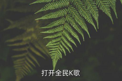 打开我的全民k歌最新版本，我的全民K歌已是最新版本可是打不开了歌曲卡空间图片和被