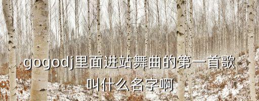 gogodj里面进站舞曲的第一首歌叫什么名字啊
