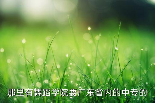 有什么中专舞蹈学校，南京有没有专门学跳舞的中专学校