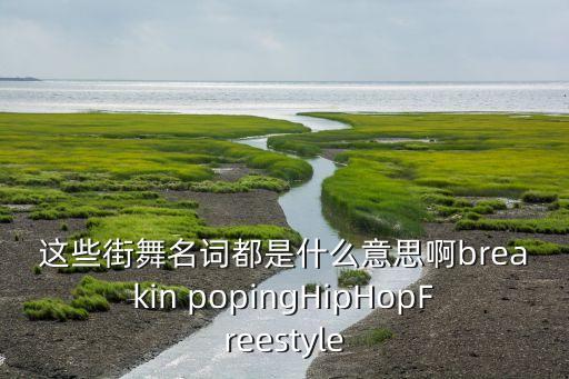 house是什么舞种，这些街舞名词都是什么意思啊breakin popingHipHopFreestyle