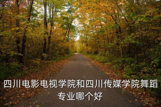四川电影电视学院和四川传媒学院舞蹈专业哪个好