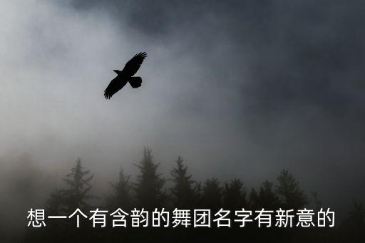 想一个有含韵的舞团名字有新意的