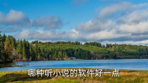 哪种听小说的软件好一点