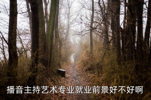 民办播音主持专业就业前景，播音主持专业的发展前景怎么样