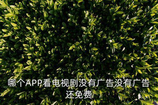 哪个APP看电视剧没有广告没有广告还免费