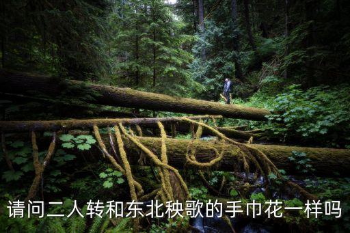 请问二人转和东北秧歌的手巾花一样吗
